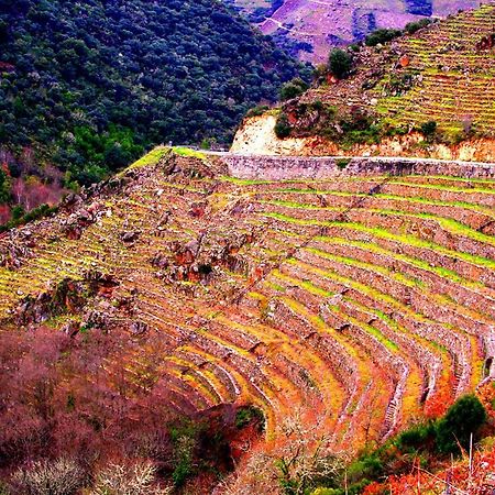 Castelodobispo - Ourense Sobrado del Obispo Luaran gambar